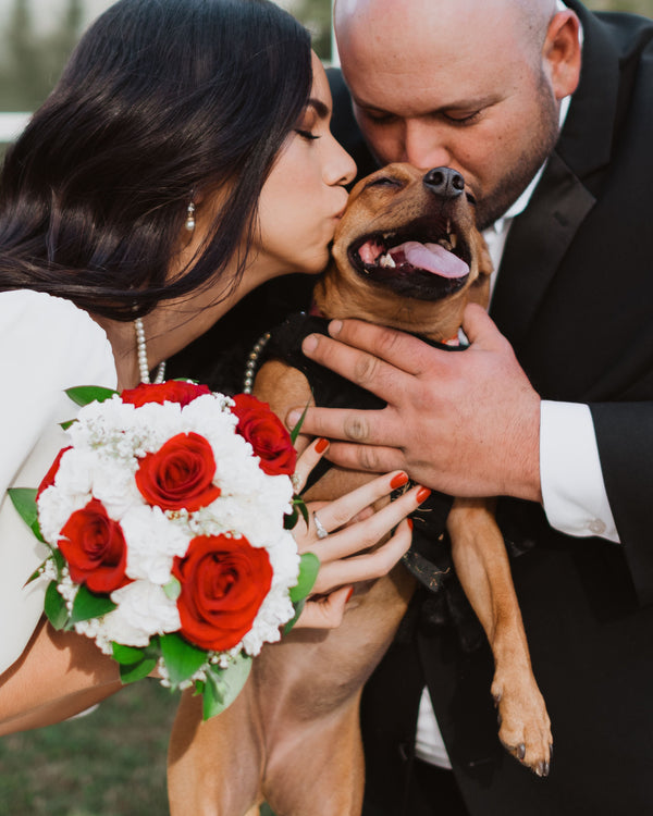 Event & Wedding Photography